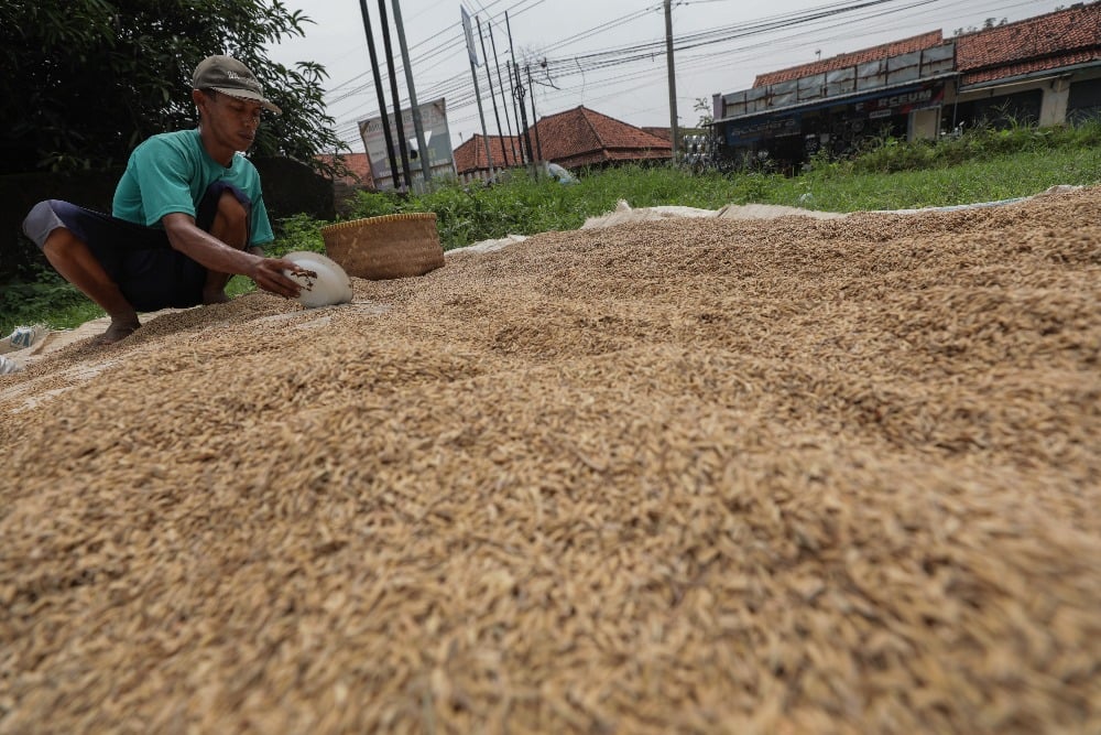 533338_petani-wajib-jaga-mutu-gabah-bulog-ingin-serap-800-000-ton-maret-2025_20250326073845.jpg