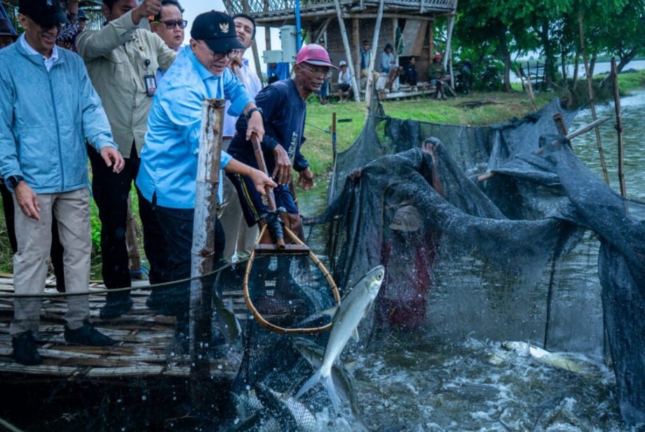 Pemerintah Rencana Bangun 20 Ribu Hektar Tambak Ikan untuk Penuhi Kebutuhan MBG